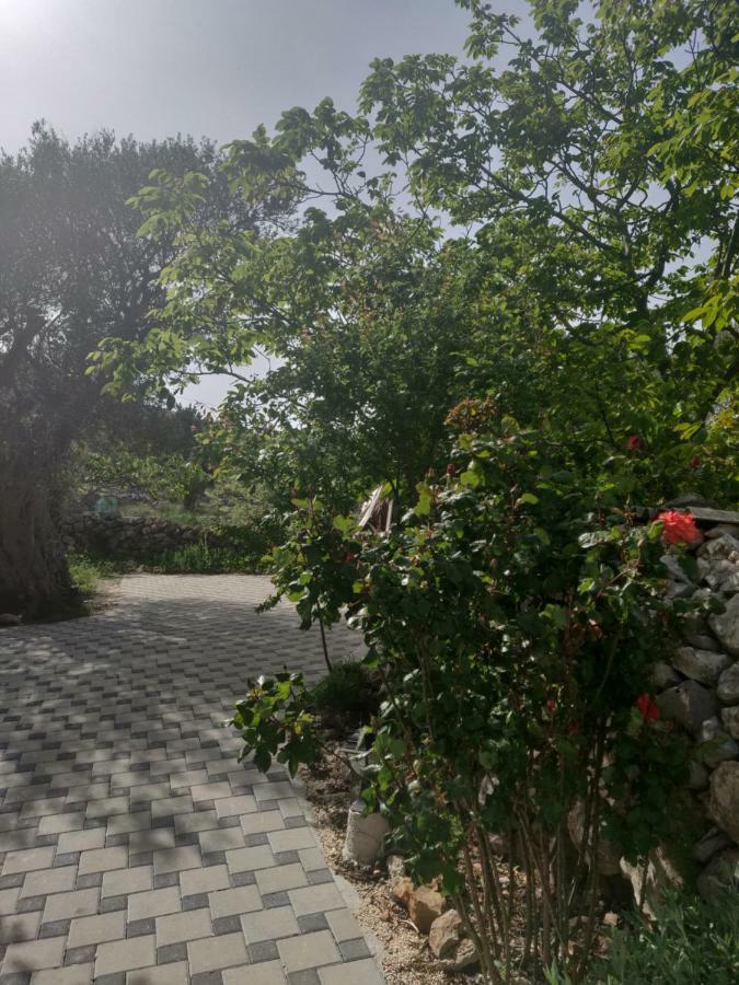 Guest House Maslina Vinišće 외부 사진